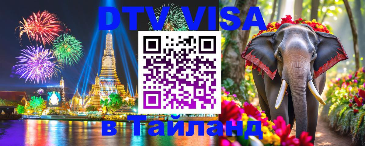 Сколько стоит DTV виза — актуальные цены, оформление даже без документов - 19.11.2025 